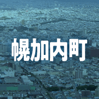 雨竜郡幌加内町で借りれる不動産担保ローン