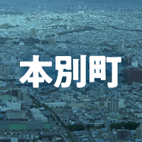 中川郡本別町で借りれる不動産担保ローン