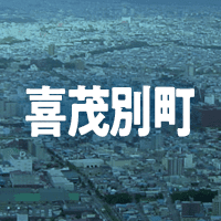 虻田郡喜茂別町で借りれる不動産担保ローン