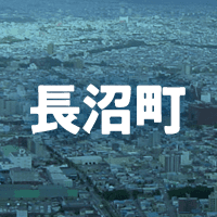 夕張郡長沼町で借りれる不動産担保ローン