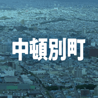枝幸郡中頓別町で借りれる不動産担保ローン
