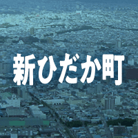 日高郡新ひだか町で借りれる不動産担保ローン